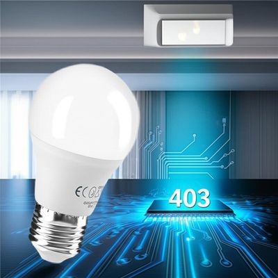 kopen 403 Status Code Openresty Server and Indoor Motion Sensor Light Bulb for Smart Home Lighting online manufacture